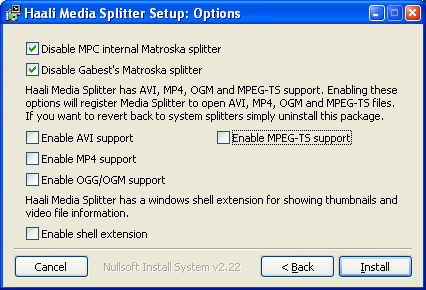 matroska codec screenshot