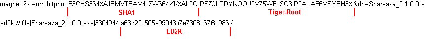 Schema posizione codici hash in magnet link e edonkey link